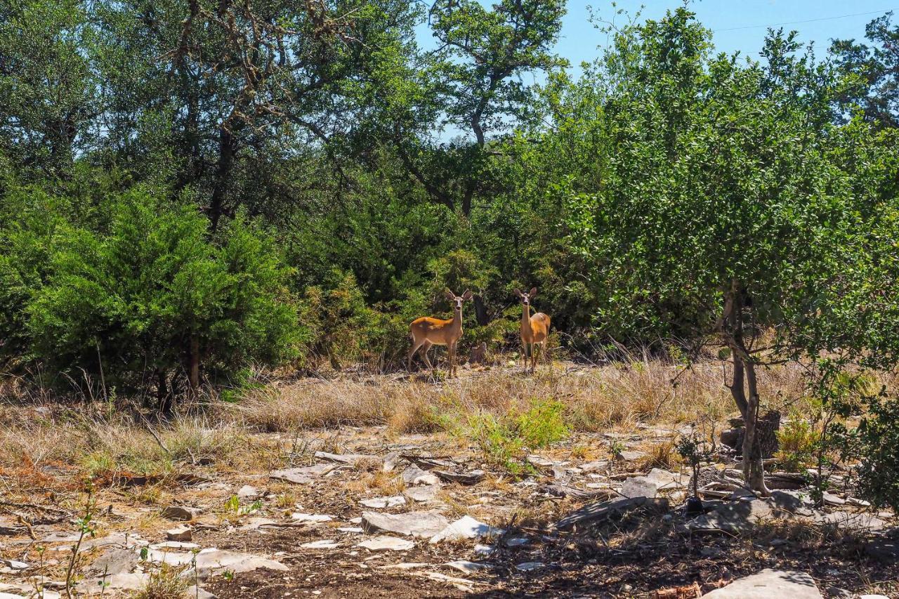 Cozy Kerrville Guest Cottage Near Guadalupe River! المظهر الخارجي الصورة